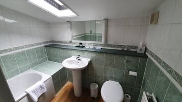 A bathroom with a skylight, a sink, a toilet, and a bathtub.