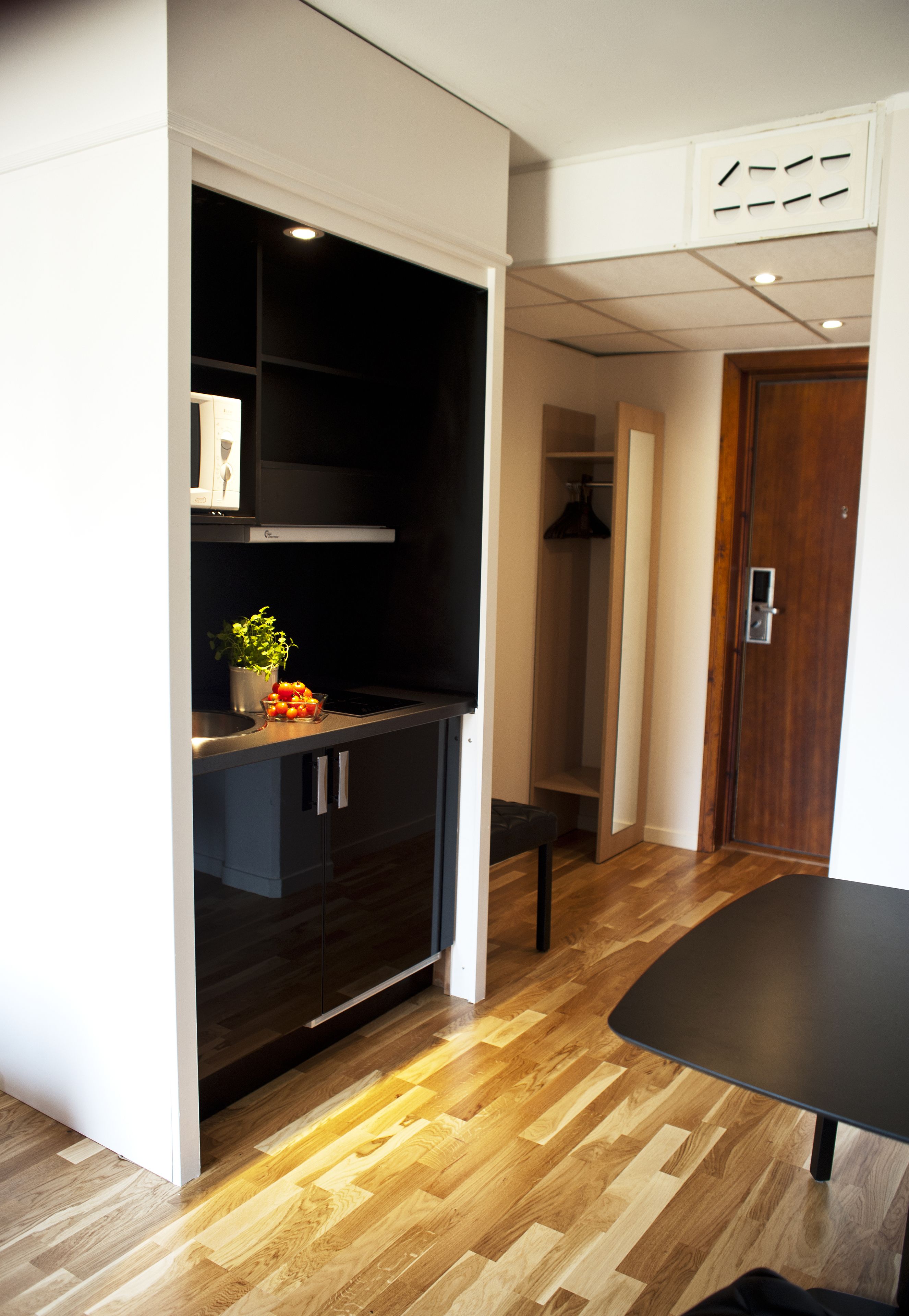 family room, 1 double bed with sofa bed, non smoking | private kitchenette