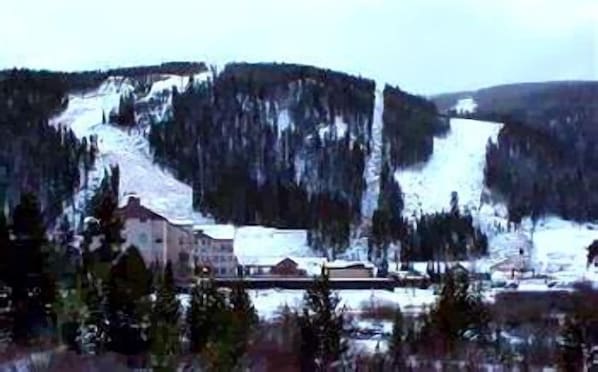 Vue sur les montagnes