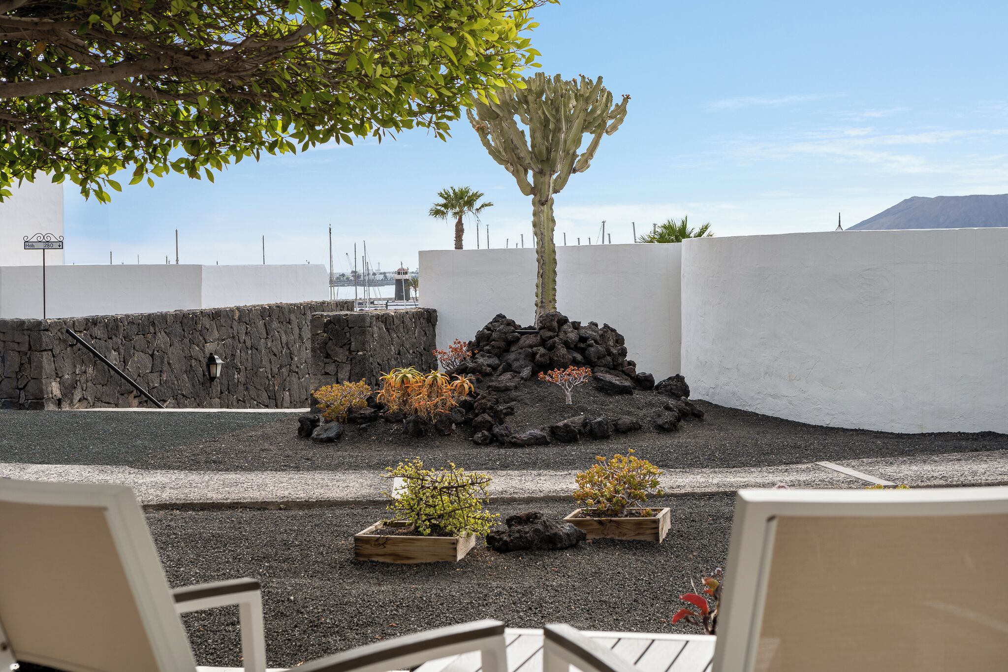 Un jardín ajardinado con un cactus, palmeras y una zona rocosa. Hay macetas de madera con plantas y un muro de piedra.