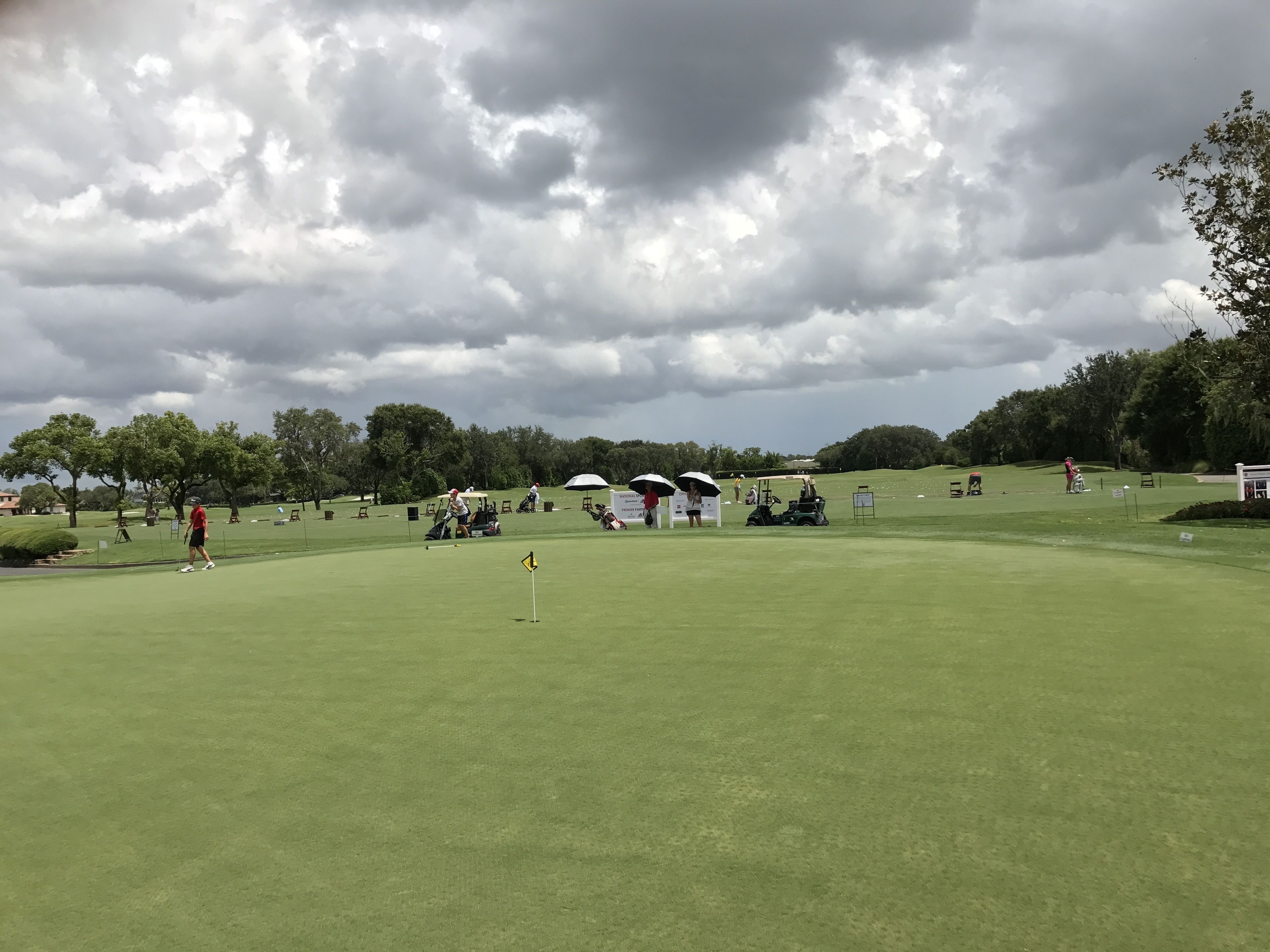 Un campo de golf con un putting green, árboles y un cielo nublado.