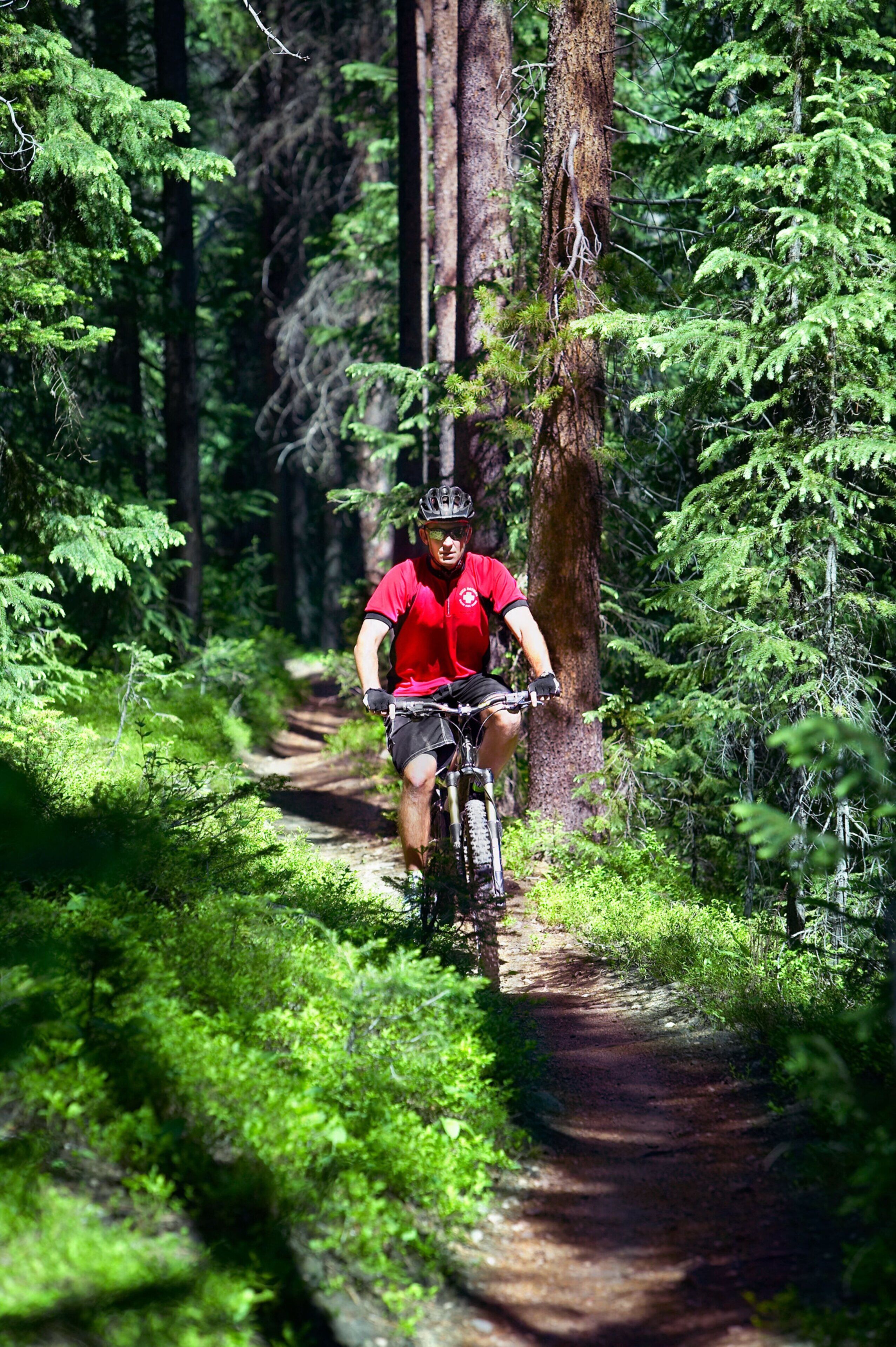 A mountain biker on a dirt trail surrounded by dense forest.
