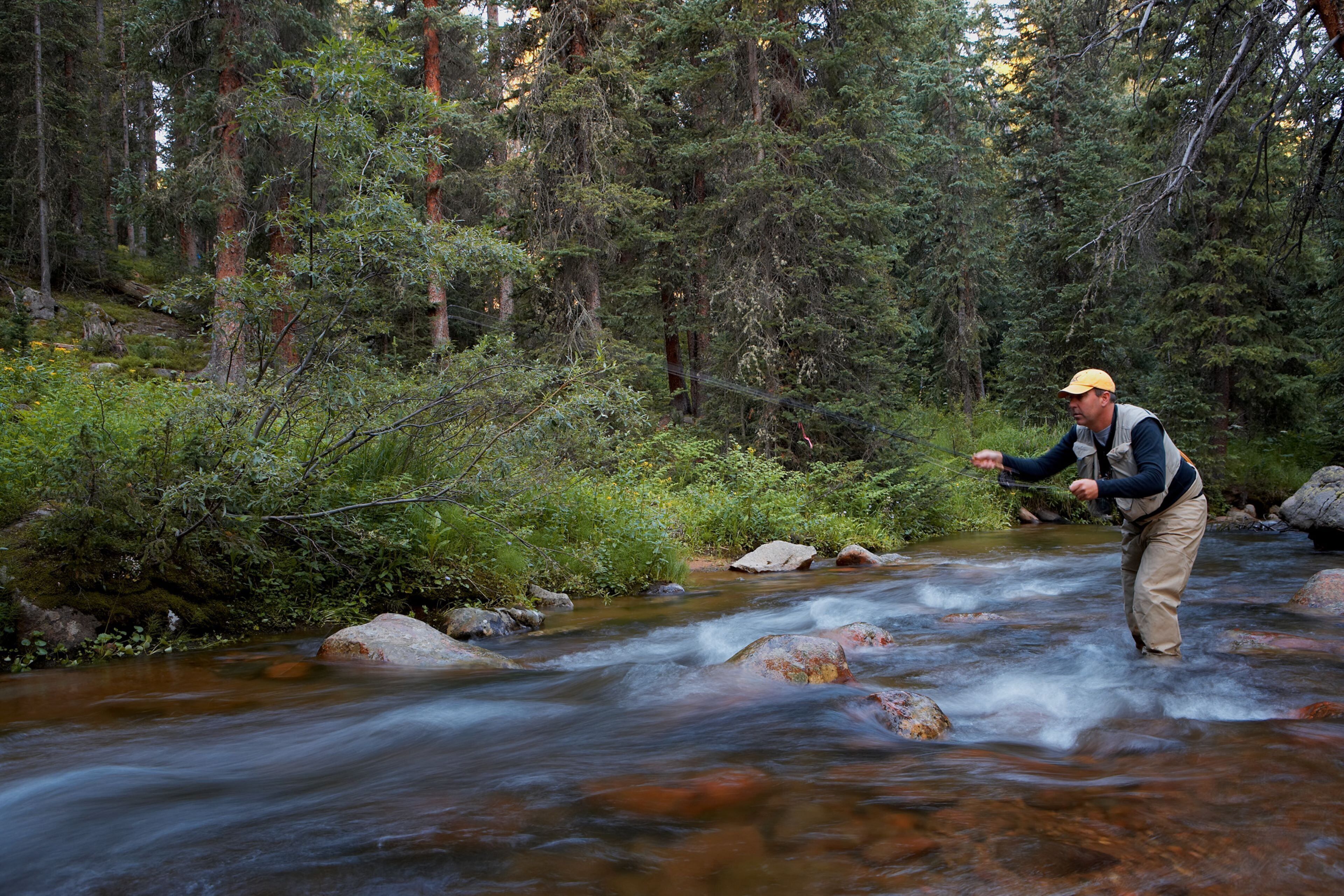 A man standing in a flowing river surrounded by dense forest.