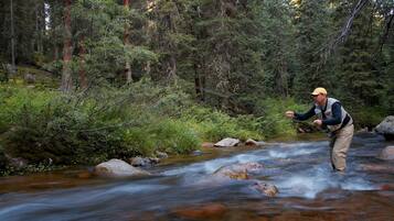 A man standing in a flowing river surrounded by dense forest.