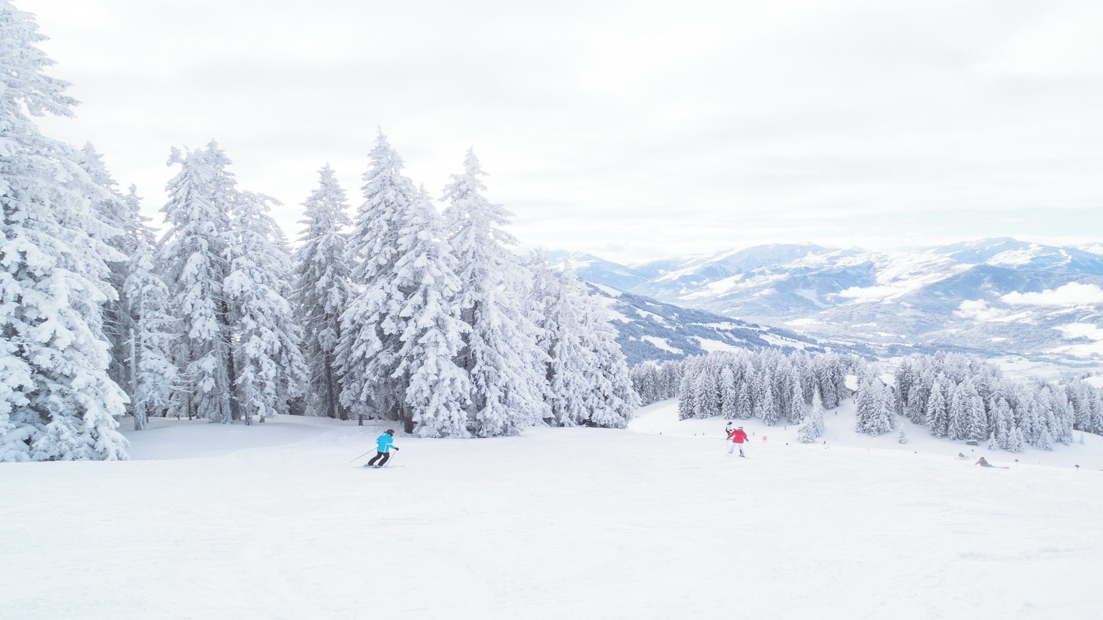 A snowy landscape with trees and mountains in the background.