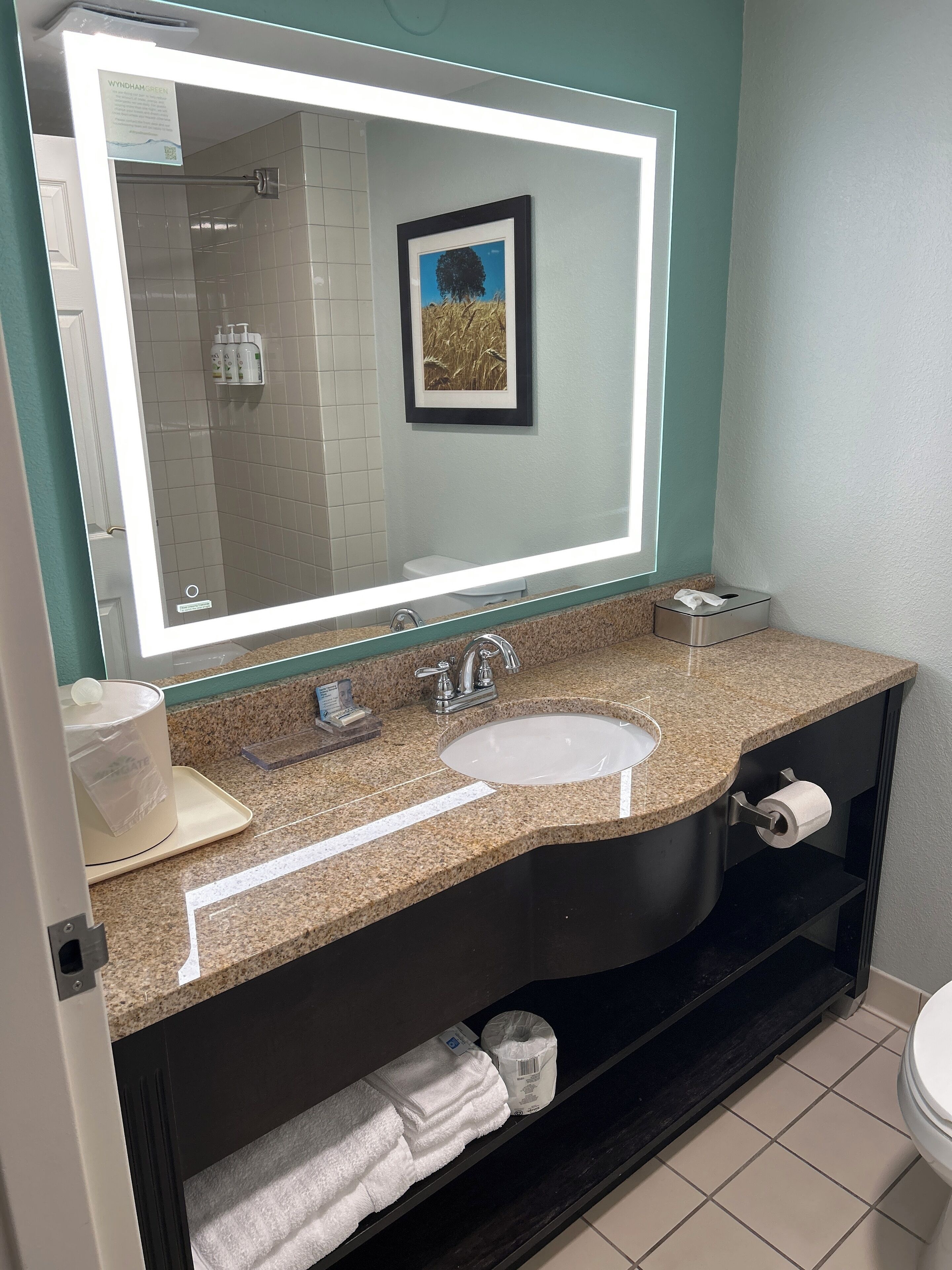 combined shower/bathtub, free toiletries, hair dryer, towels