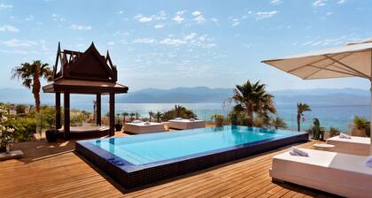 Orchid Eilat