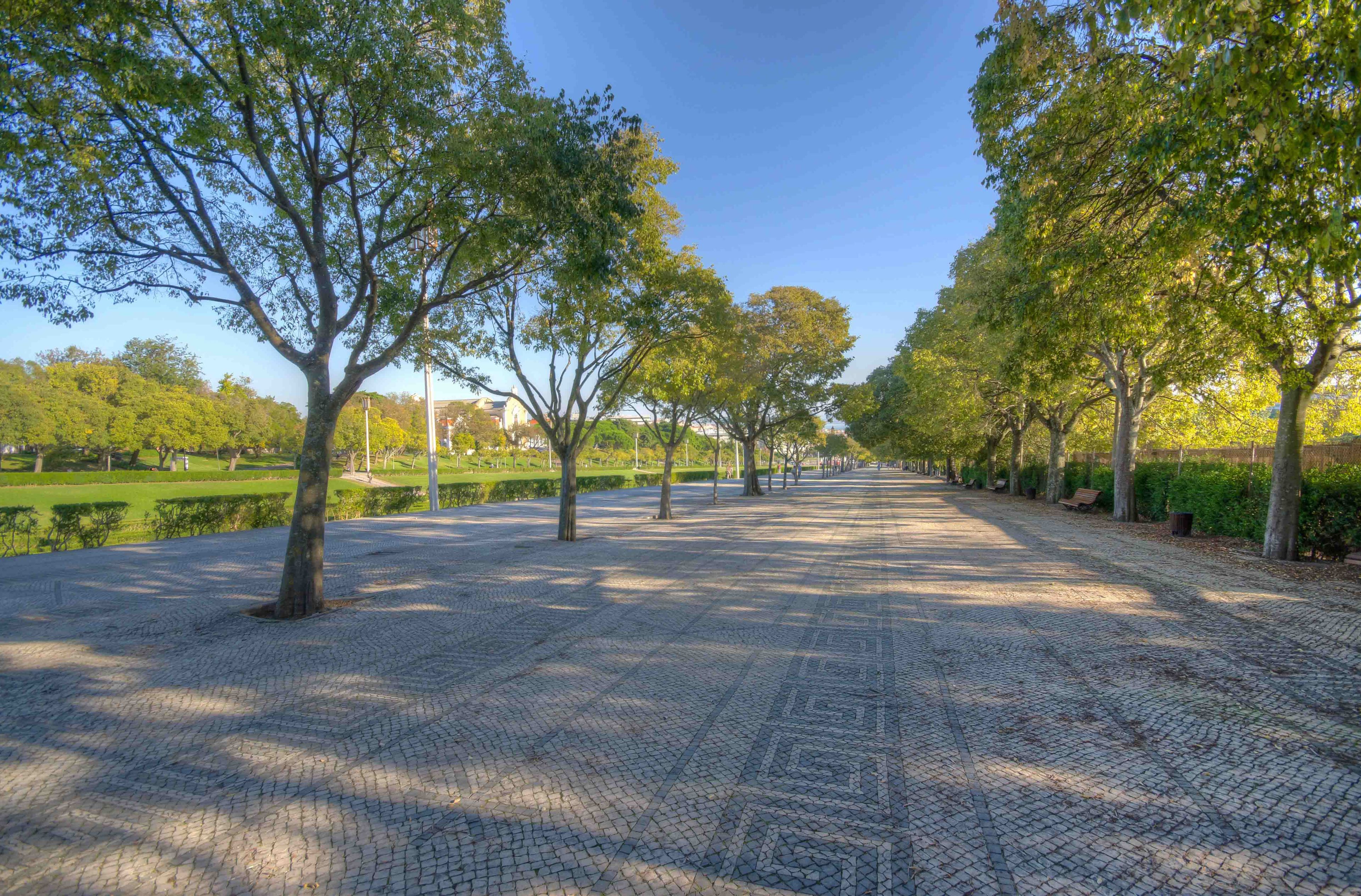 Foto - Hotel Avenida Park