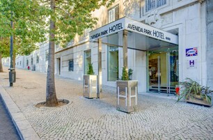 The exterior of the Avenida Park Hotel with a cobblestone pavement, large potted plants, and a clear view of the entrance.