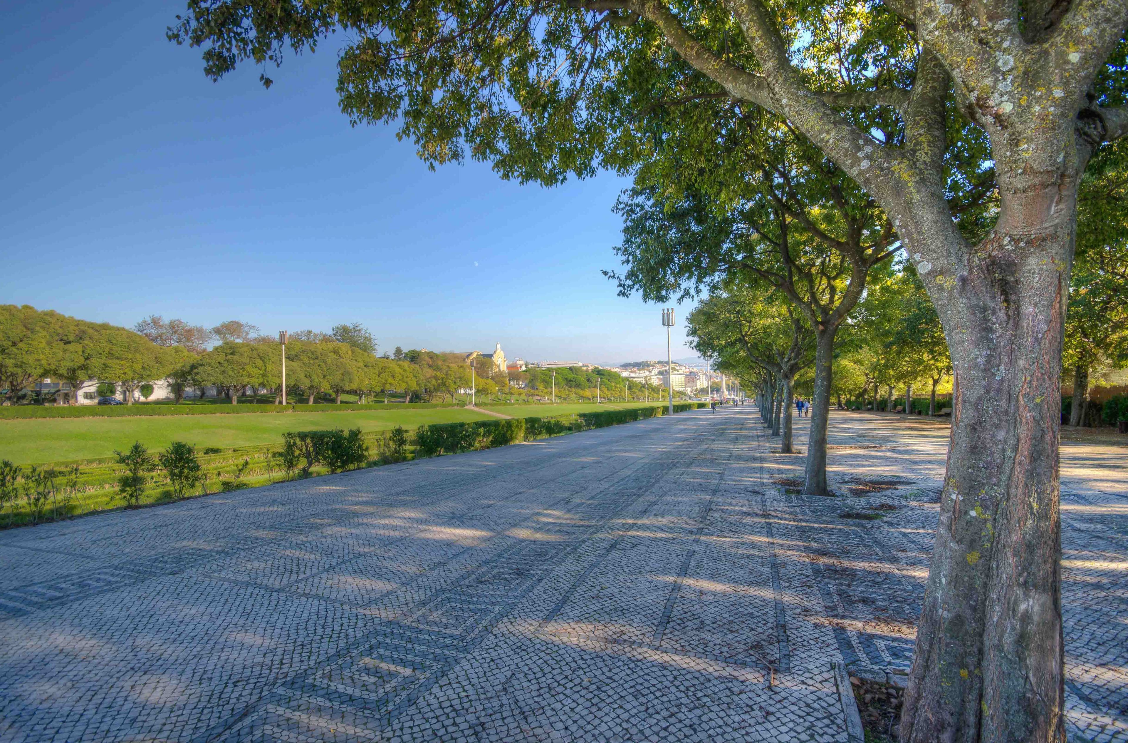 Foto - Hotel Avenida Park