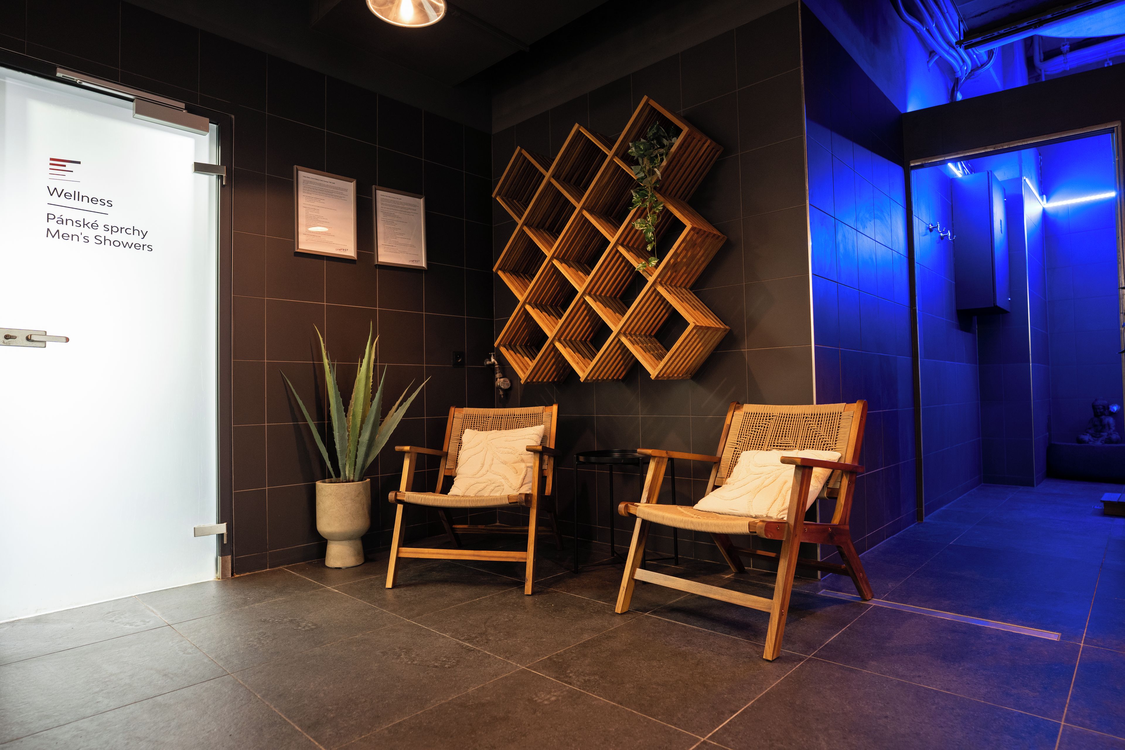 Un área de recepción con dos sillas de madera, una planta en maceta y un estante de madera con vegetación.