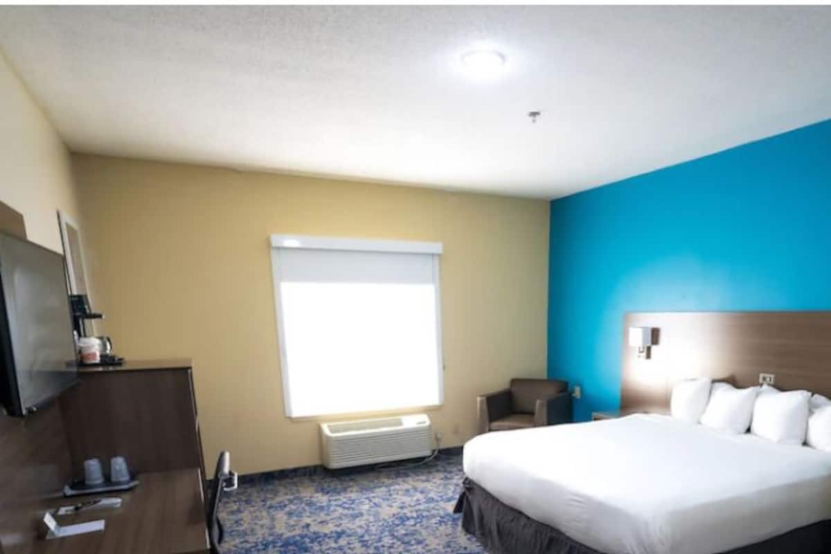 A hotel room with a bed, bedside table, TV, and a window with blinds.