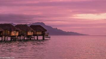 Premium bedding, free minibar, in-room safe, desk