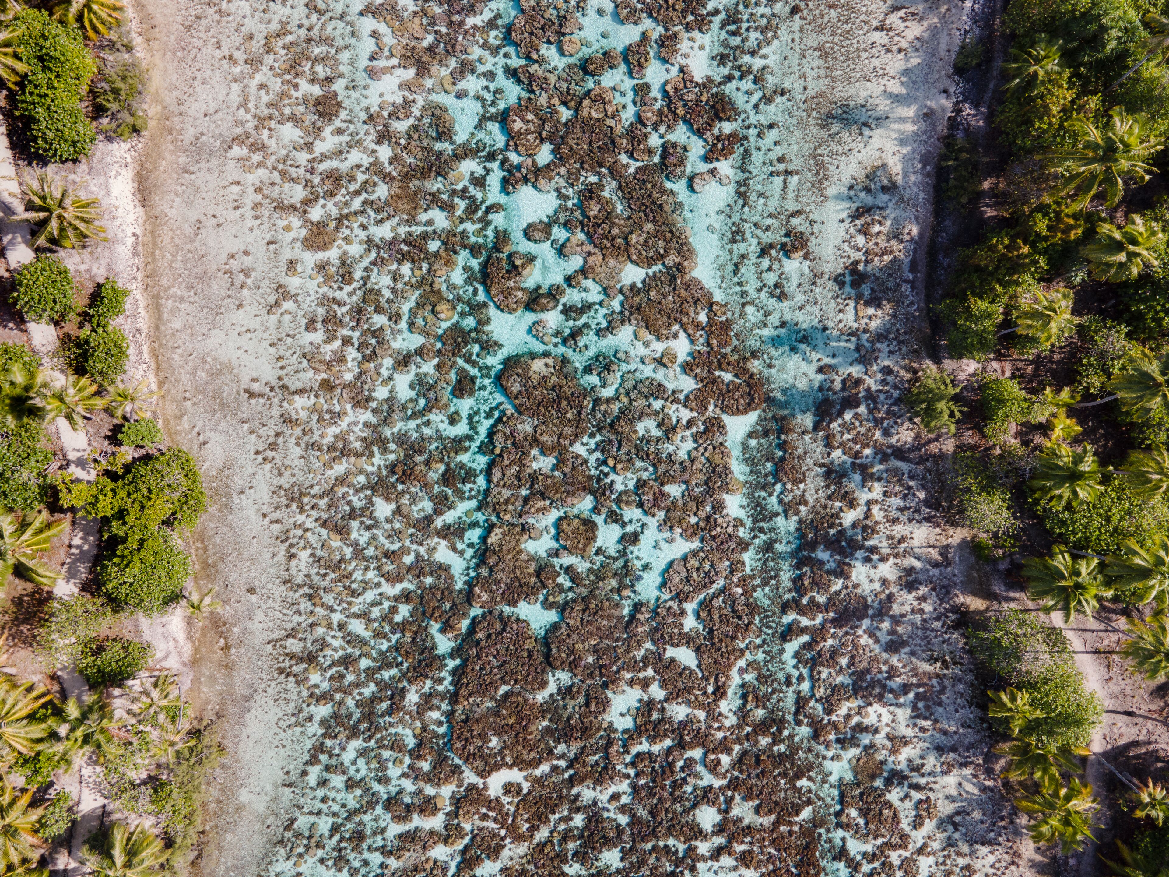 Luchtbeeld van een strand met rotsformaties en palmbomen.