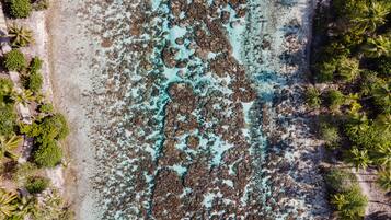 Luchtbeeld van een strand met rotsformaties en palmbomen.