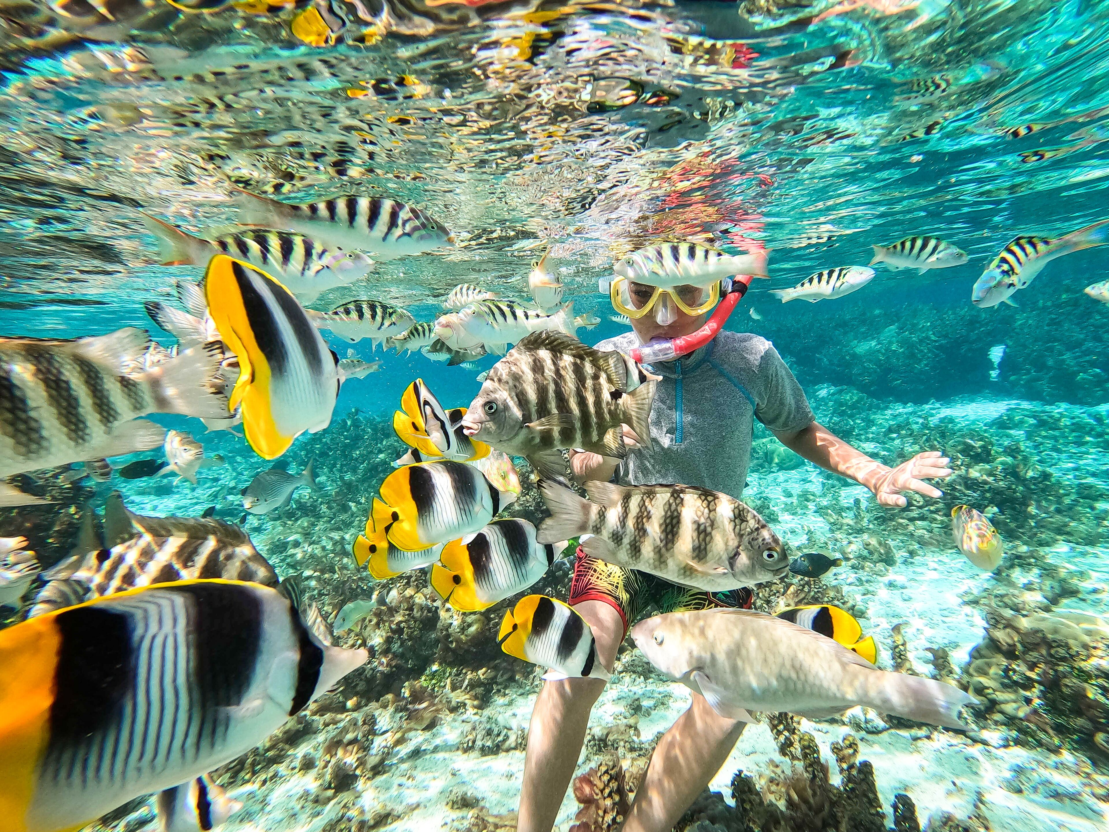 children’s play area – outdoor