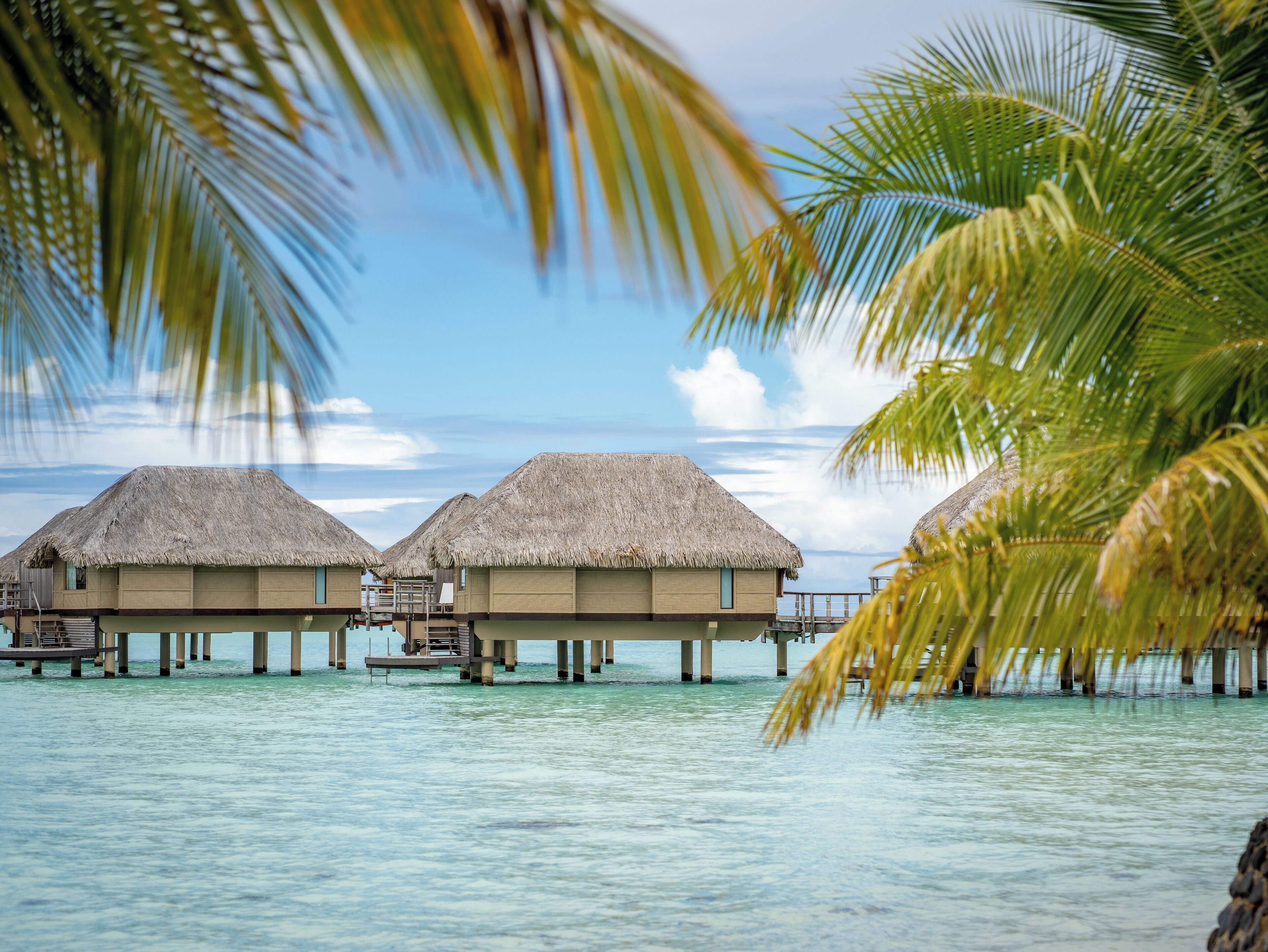 Overwater bungalows with thatched roofs, connected by walkways, in a clear blue sea.