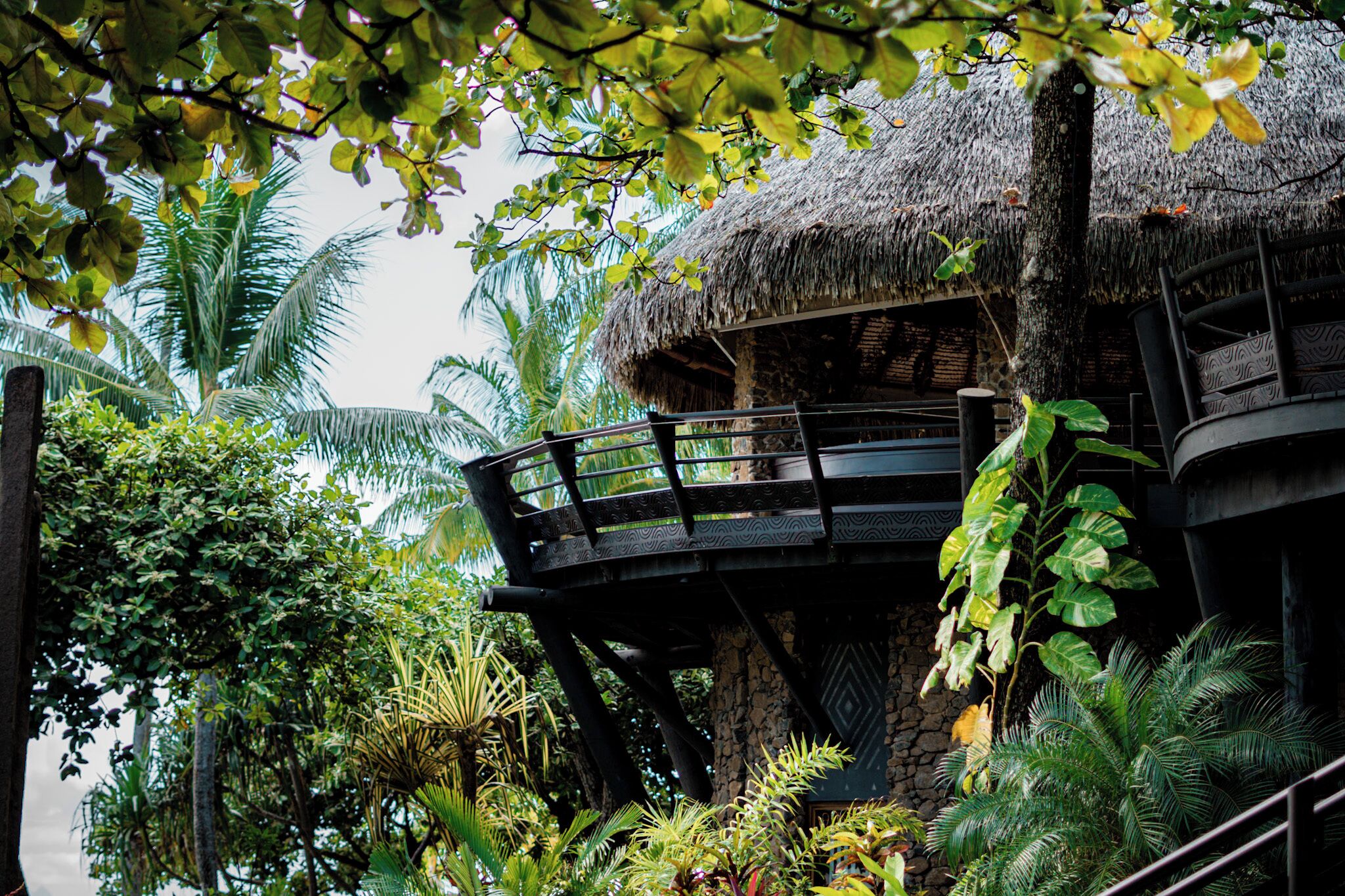 A thatched-roof structure with a balcony, surrounded by lush tropical vegetation.