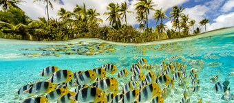 Le Taha'a by Pearl Resorts