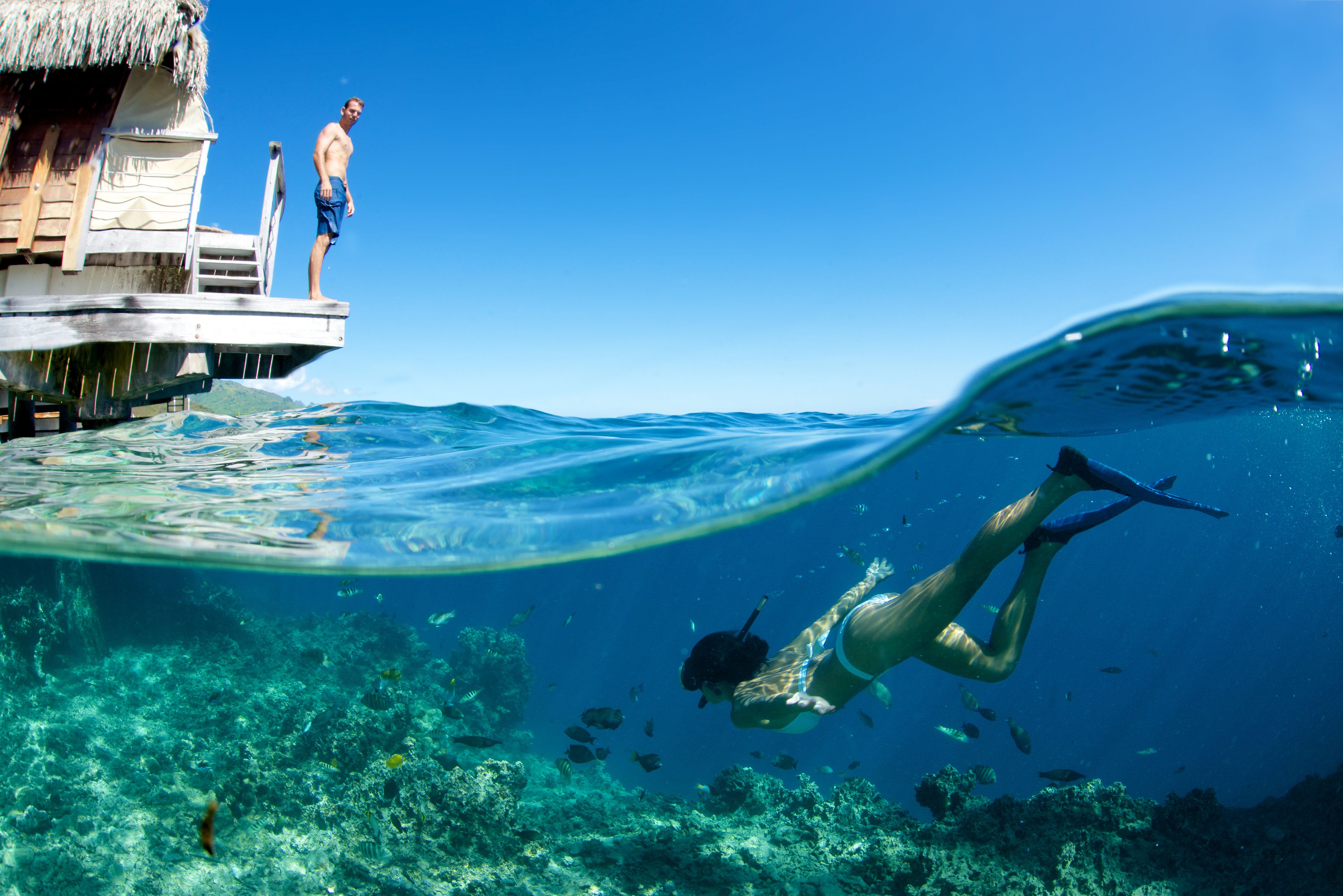 premium overwater bungalow | terrace/patio