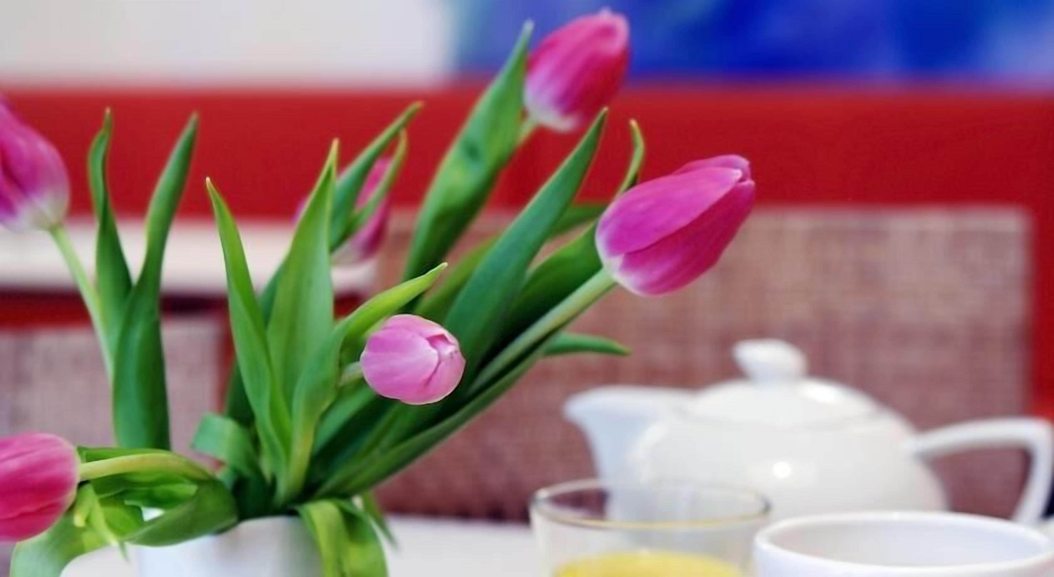 Photo - 1st Creatif Hotel Elephant