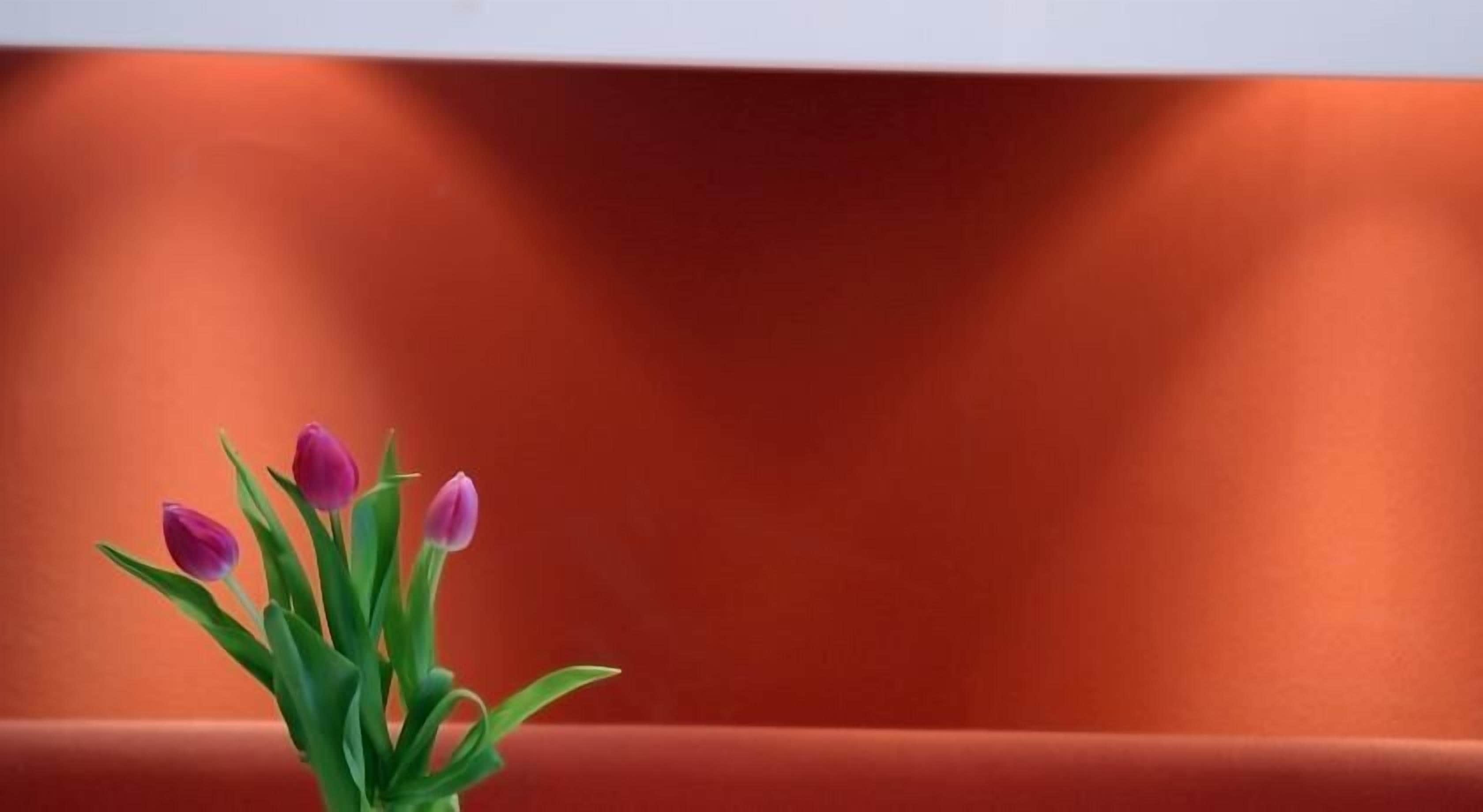 Foto - 1st Creatif Hotel Elephant