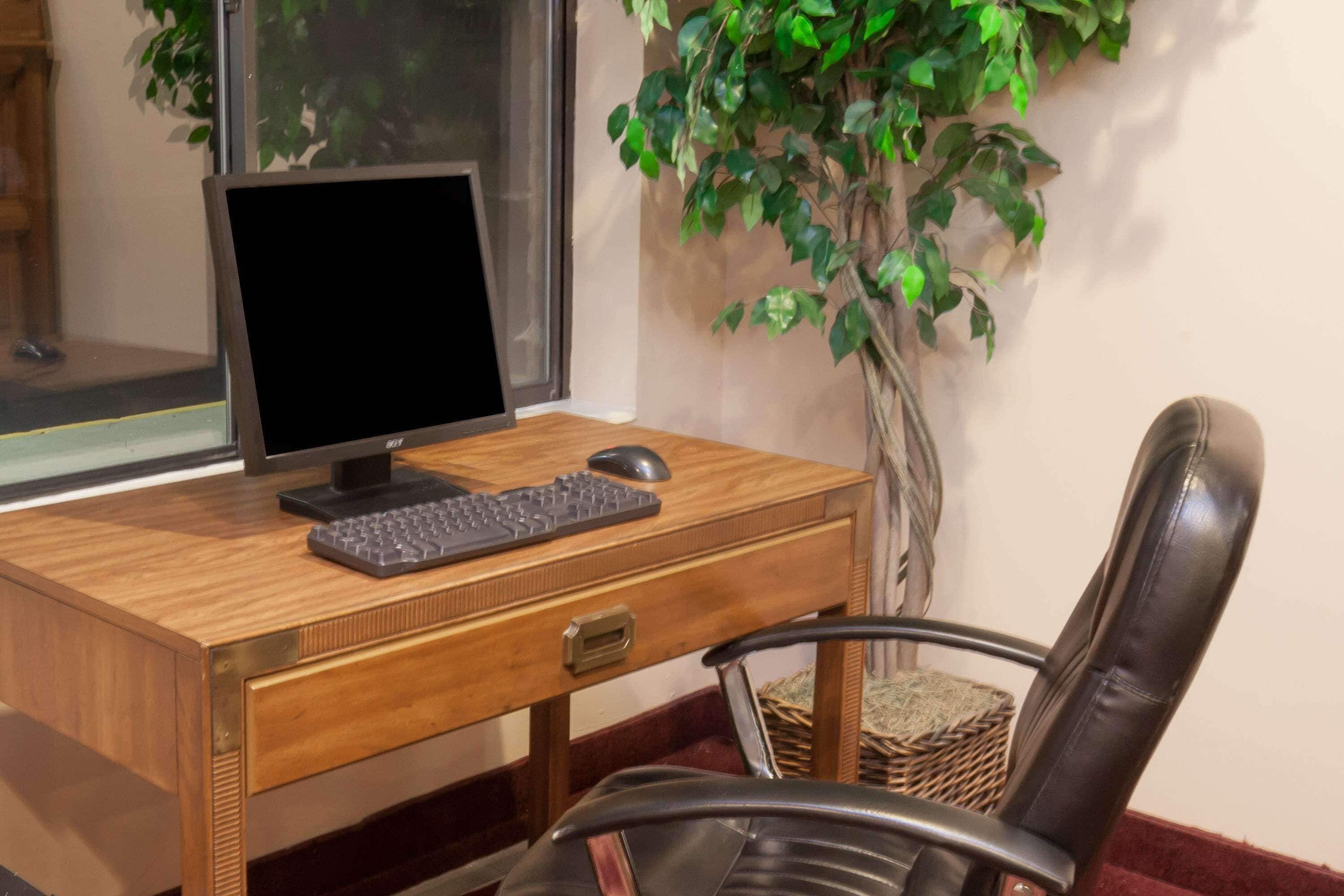 A wooden desk with a computer monitor, keyboard, and mouse. A black chair is in front of the desk. A potted plant is beside the desk.