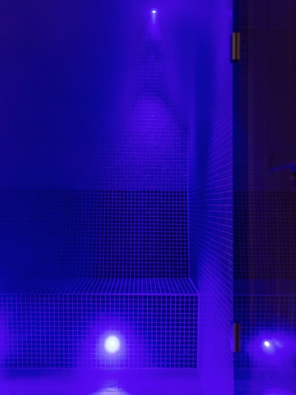 Sauna, hot tub, steam room, body treatments, mud baths, aromatherapy