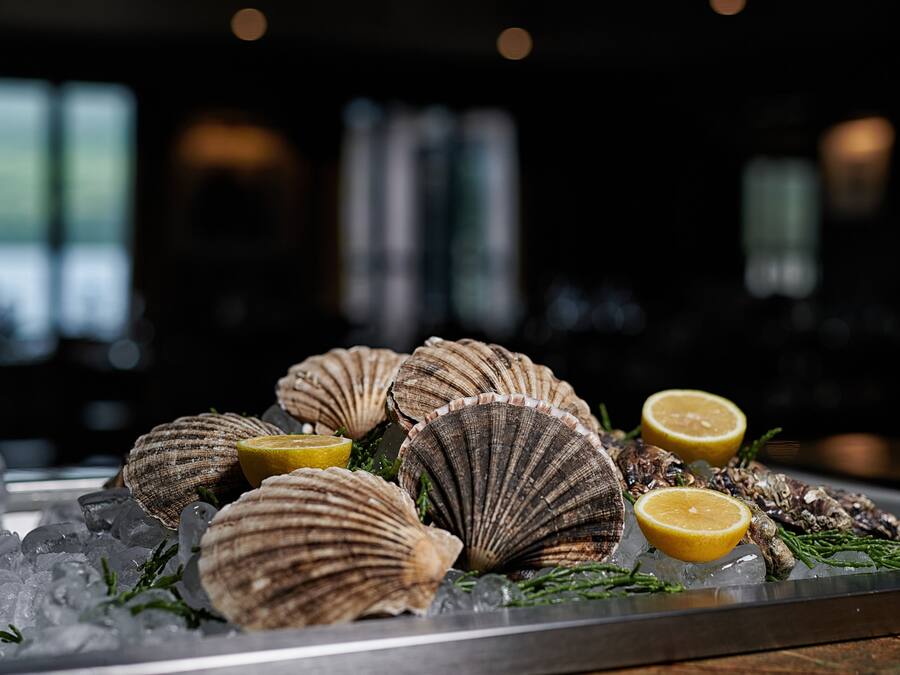 A seafood display with scallops and lemon slices on ice.