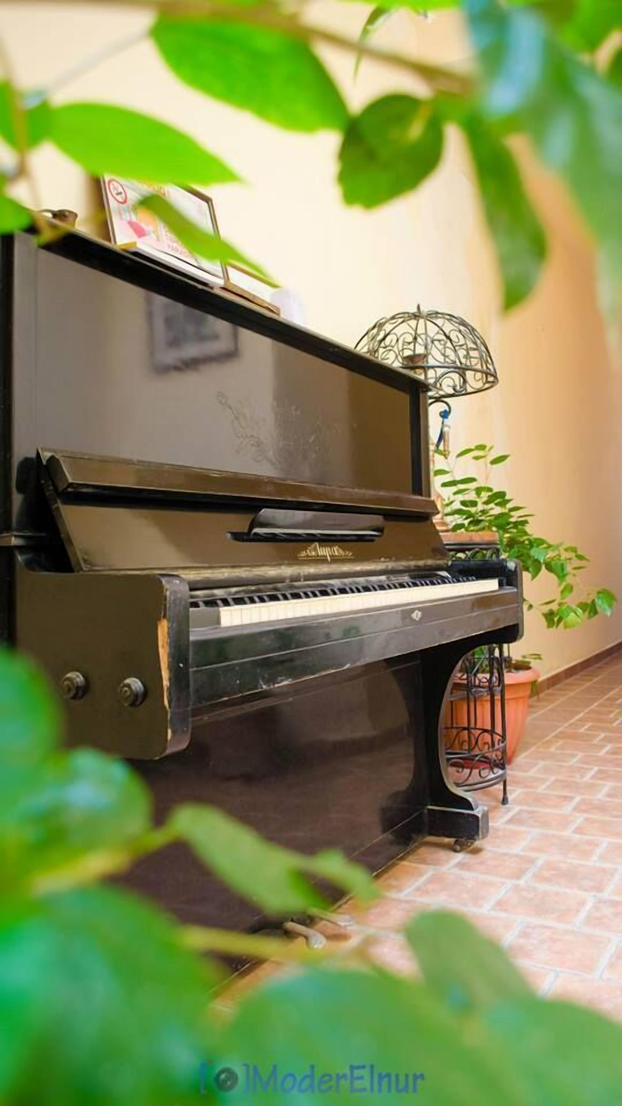Un piano de cola en un entorno al aire libre con suelo de baldosas y plantas en macetas.