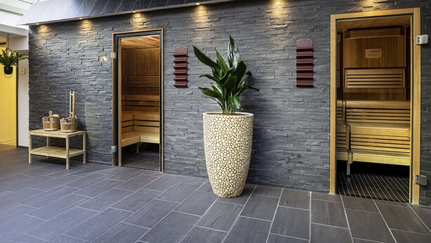 Un espacio de spa moderno con paredes de piedra, bancos de madera y una planta grande en maceta.