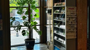 Una planta en maceta en un rincón, un cartel de GoTeborg y una estantería con folletos.