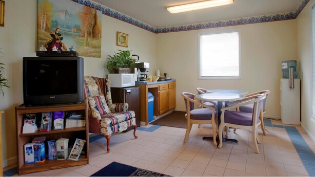 A living room with a television, a floral armchair, a dining table with chairs, a kitchen area with a microwave, and a large window.