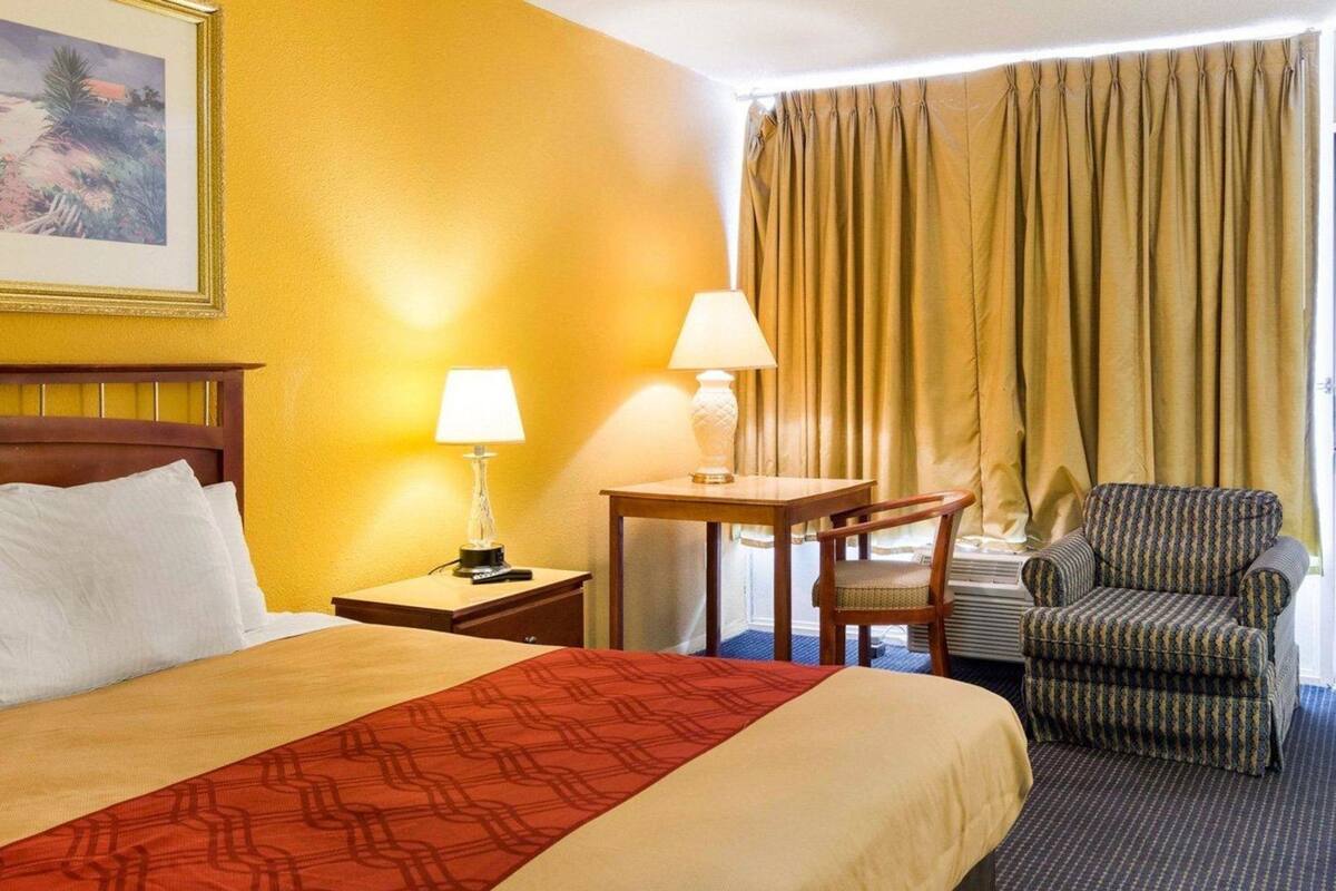 Una camera d'albergo con un letto, una scrivania con lampada, una sedia e una finestra con tende.