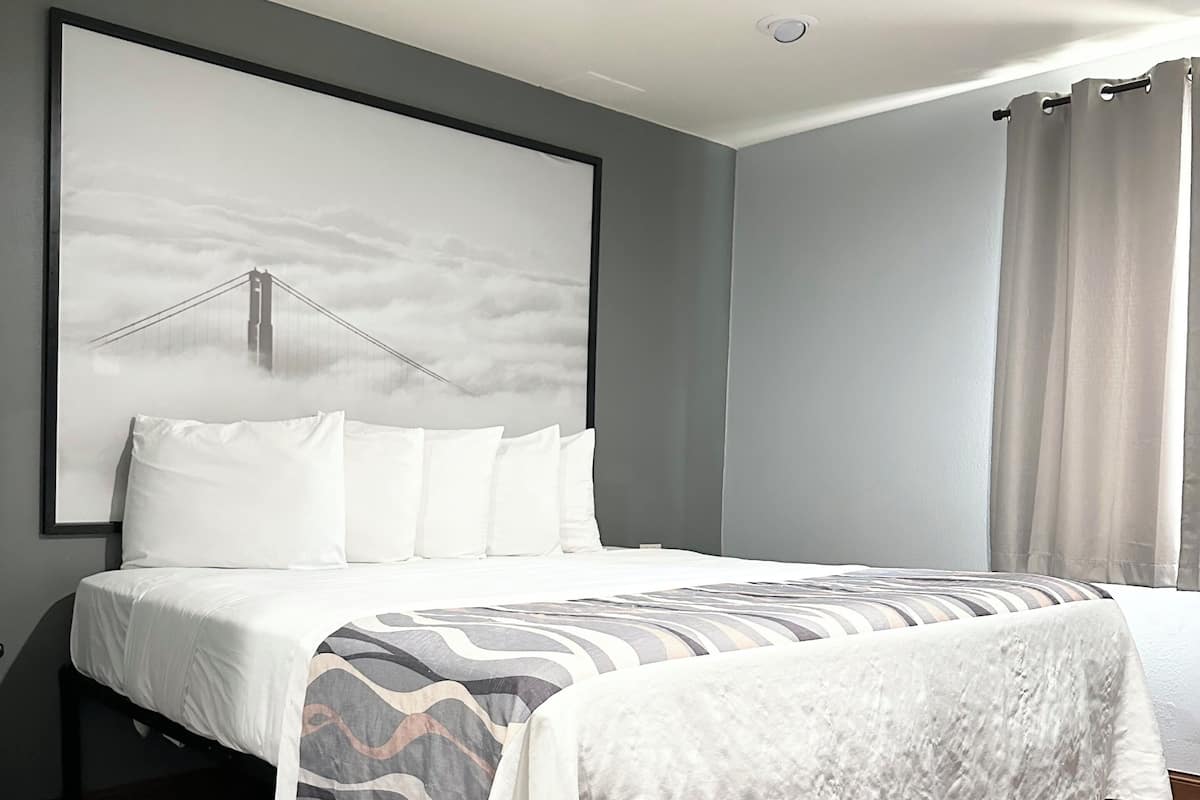 Standard Room, 1 King Bed, Non Smoking | Desk, iron/ironing board, free WiFi, bed sheets
