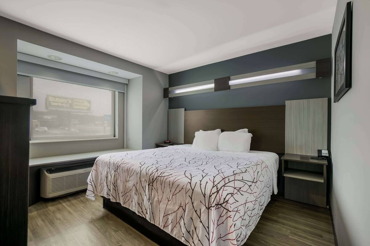 A modern hotel room with a large bed, a bedside table, a nightstand, a window with a view, and a built-in heater.