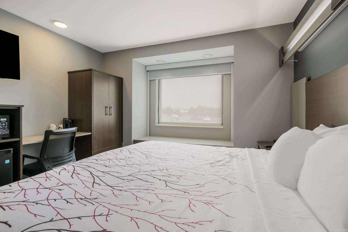 A hotel room with a bed, a desk, a chair, a wardrobe, and a window with a view.