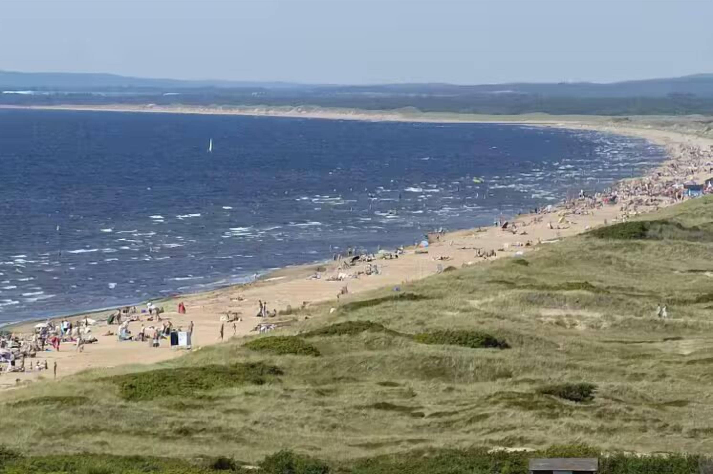 A beach with a grassy foreground and a sandy beach area with people.