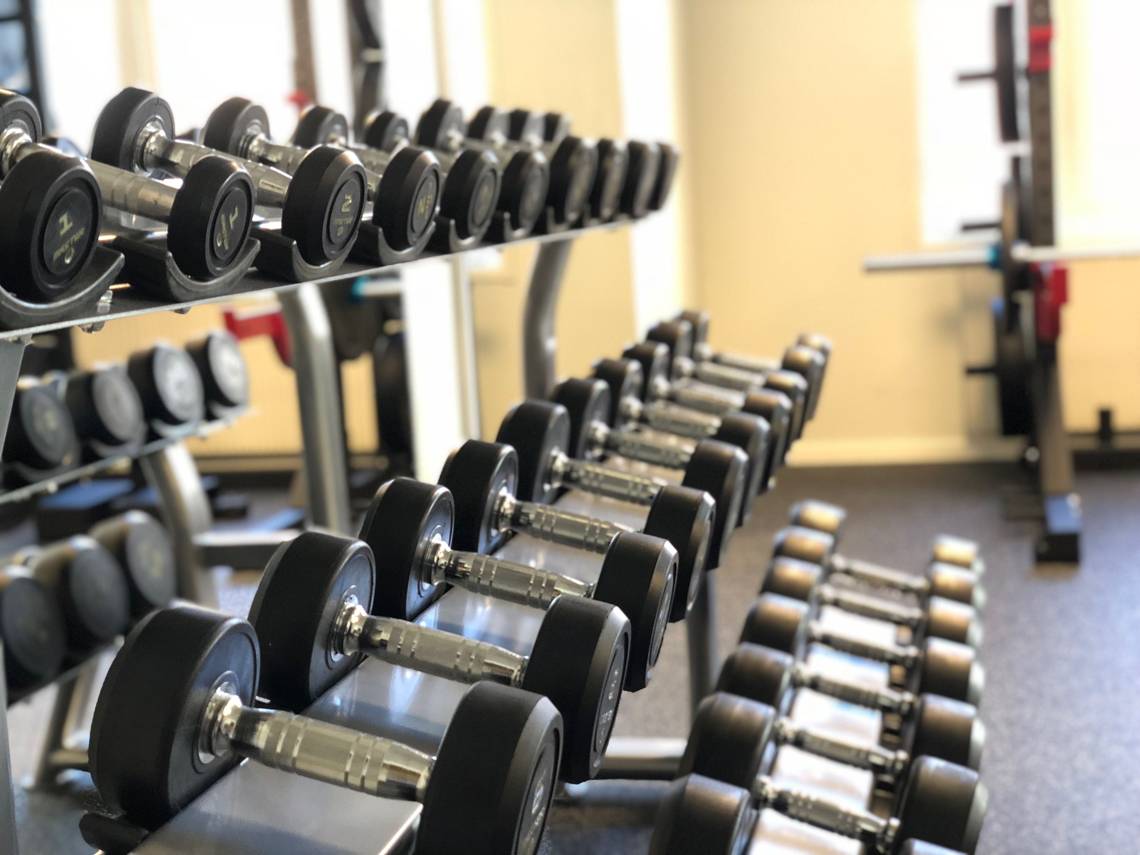 Una hilera de mancuernas en un estante en un gimnasio.