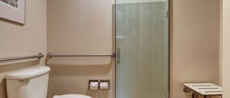 A bathroom with a toilet, a glass shower enclosure, and a handrail.