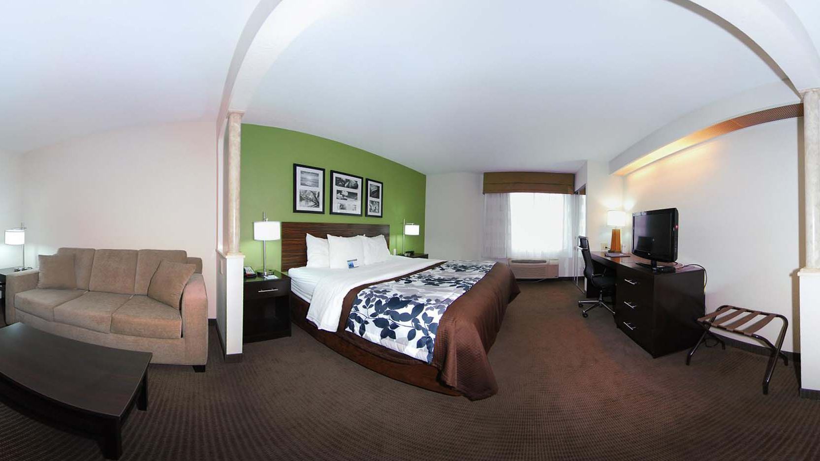 A hotel room with a bed, a sofa, a desk, and a TV.