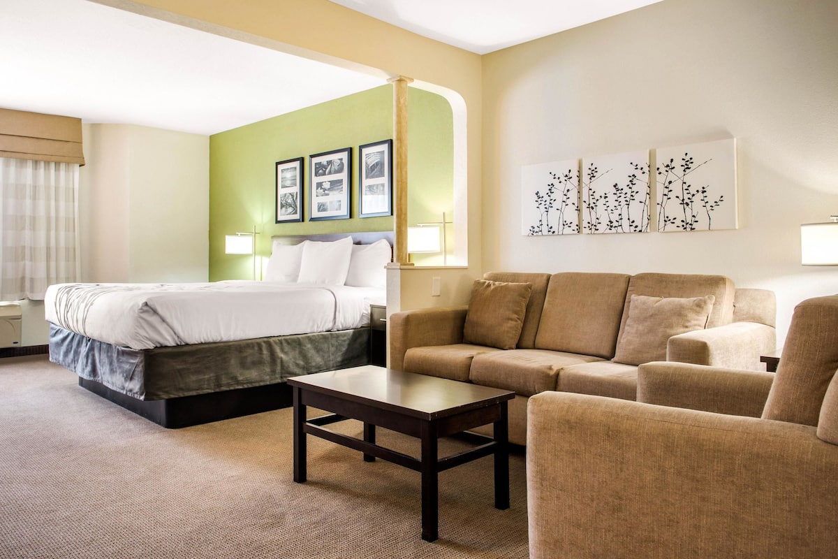 Chambre Standard, 1 très grand lit | Bureau, fer et planche à repasser, accès au Wi-Fi (inclus)
