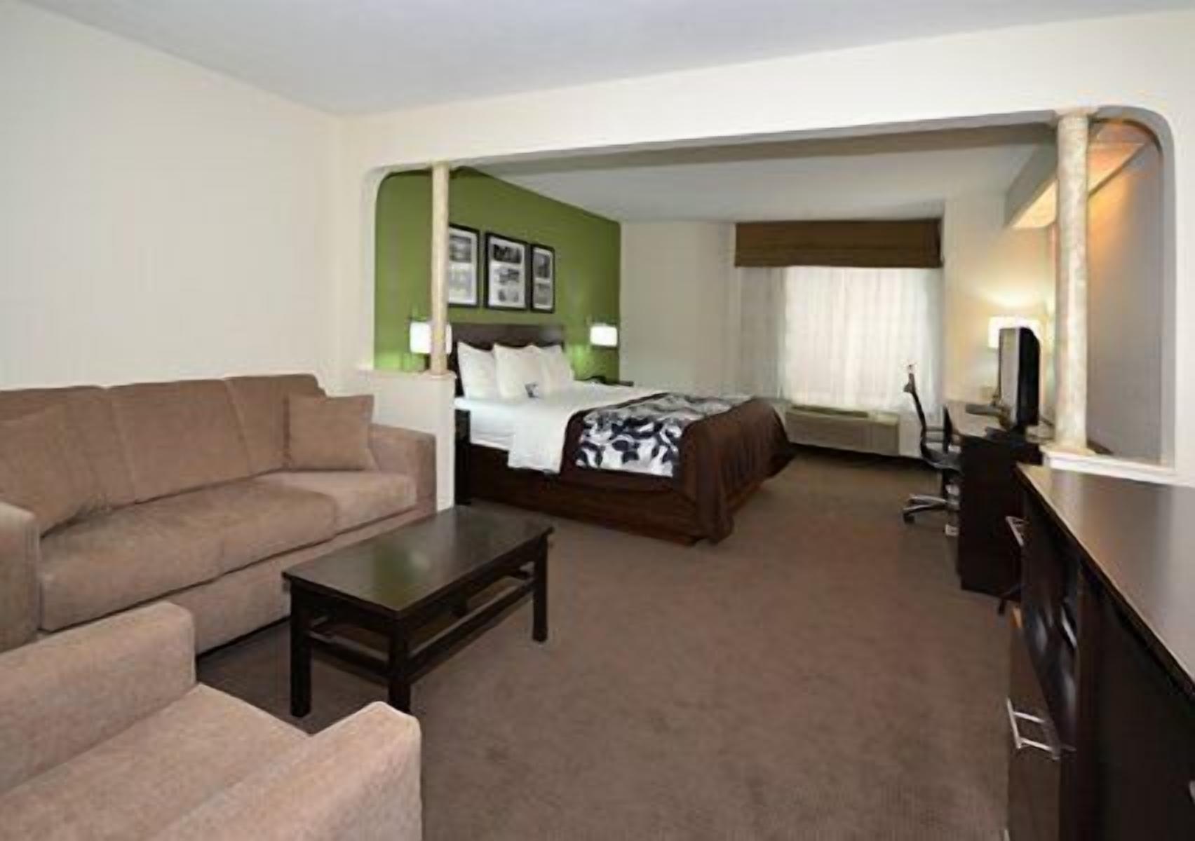 Une chambre d’hôtel équipée d’un lit, d’un canapé, d’un bureau et d’une télévision.