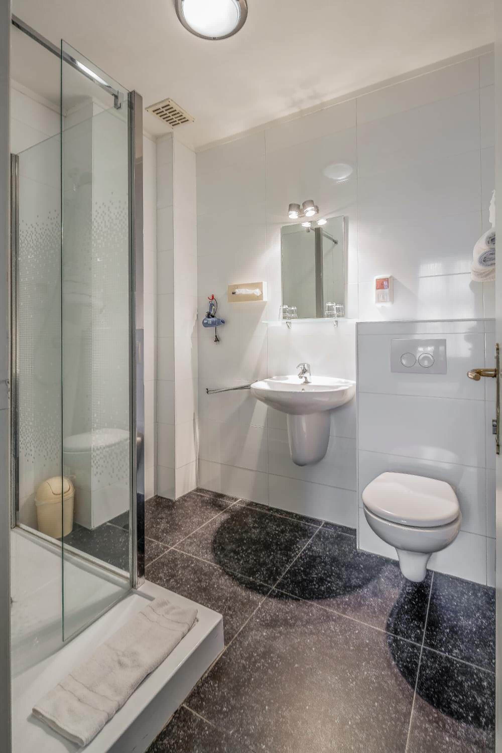 A modern bathroom with a glass shower enclosure, a white sink, and a toilet.
