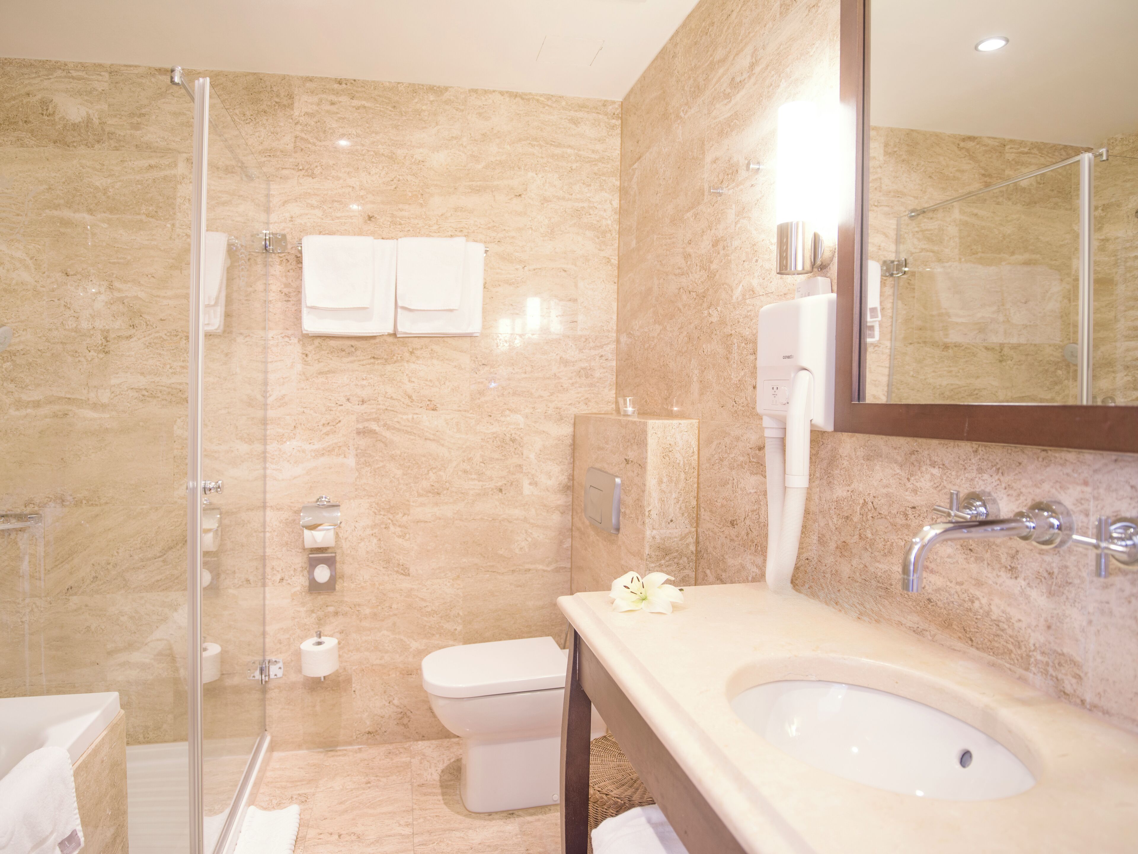 A modern bathroom with a glass-enclosed shower, a toilet, and a sink with a mirror.