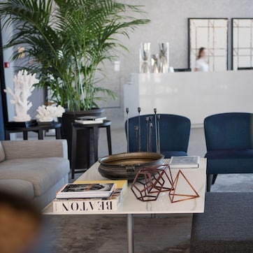 A modern living room with a sofa, a coffee table with decorative items, and a potted plant.