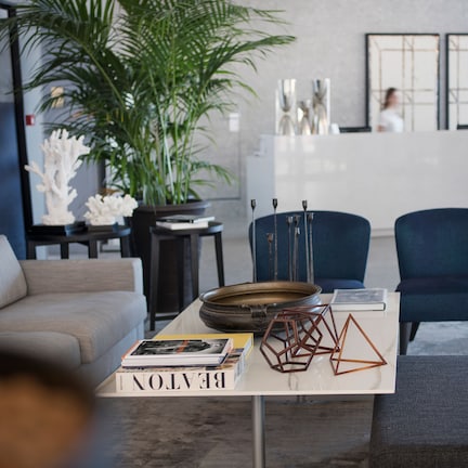 A modern living room with a sofa, a coffee table with decorative items, and a potted plant.