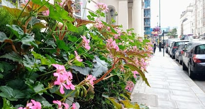 Edward Hotel Paddington