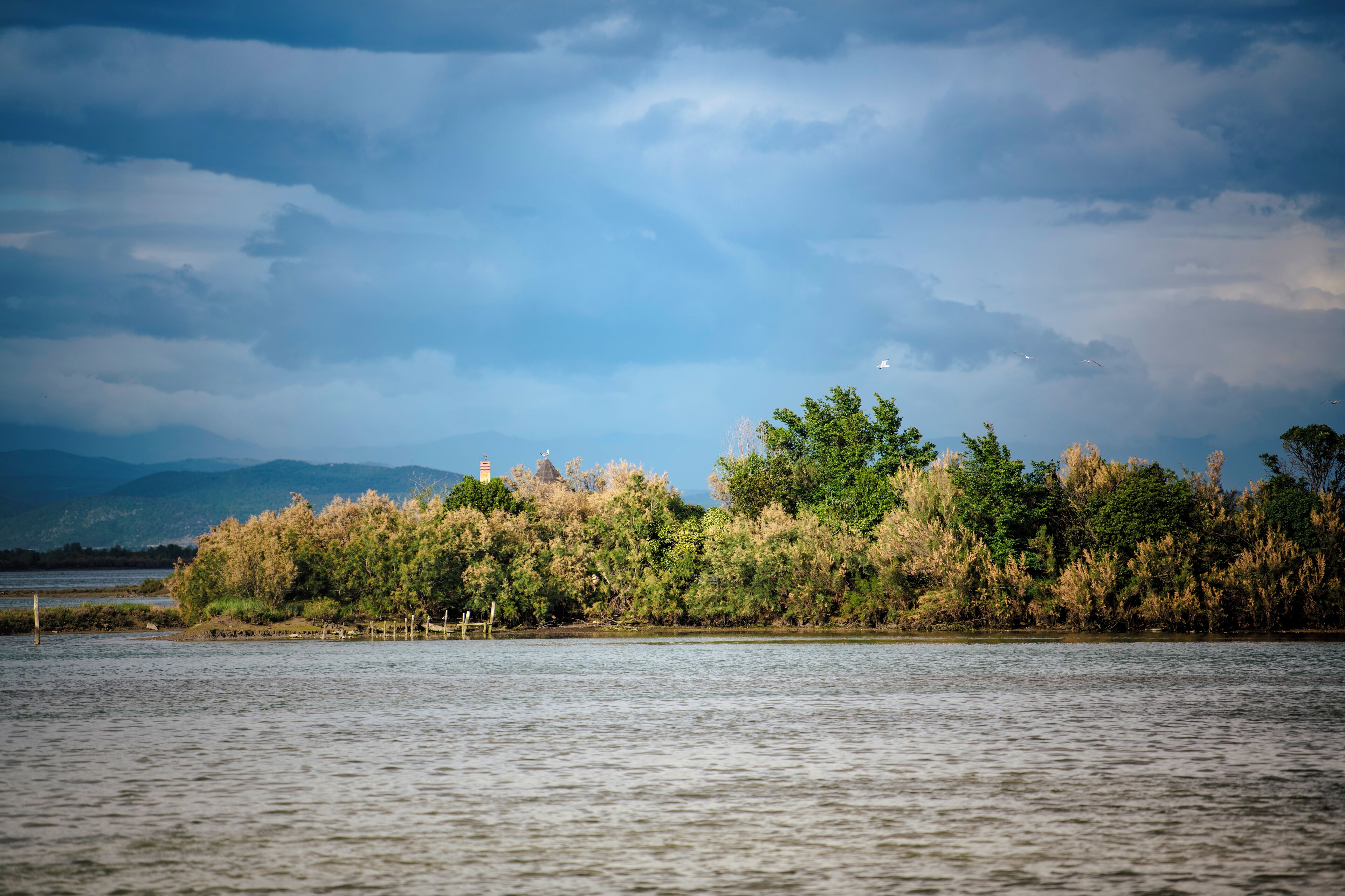 Un lago tranquilo con una isla boscosa y montañas distantes bajo un cielo nublado.