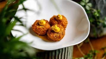 A white plate with three round, breaded items topped with a yellow sauce, placed on a table with a green plant in the background.